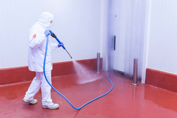 Best Roof Washing  in Youngstown, NY